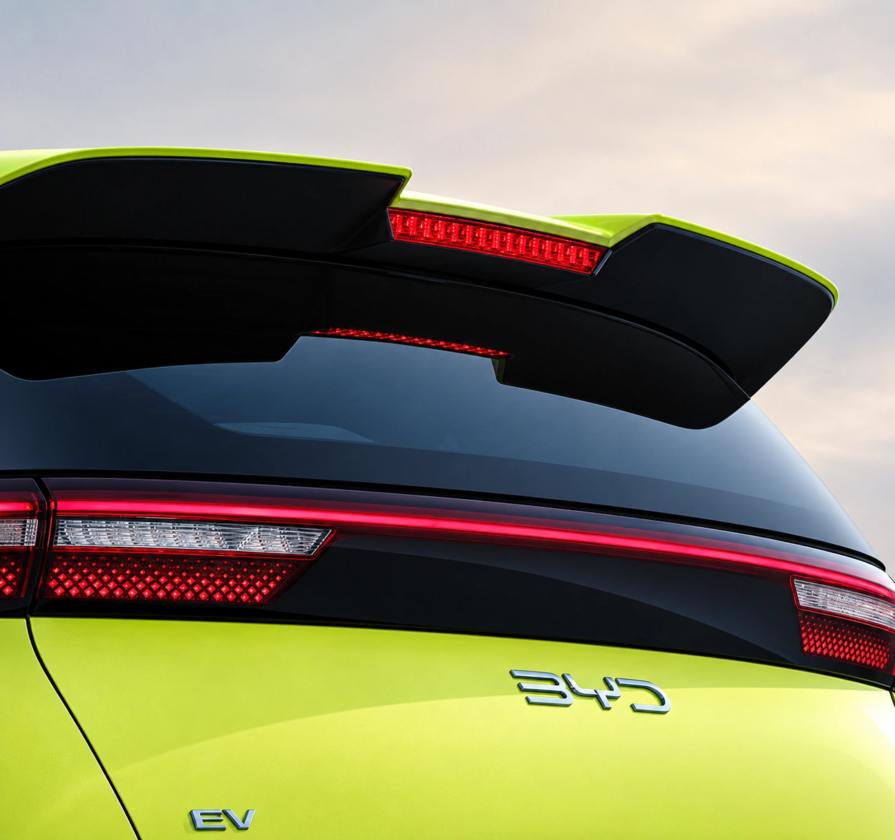 Rear Spoiler